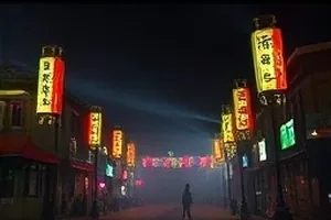 逐光手记纪实观察封面